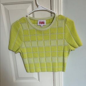Solid & Striped Lime Green Checkered Crop Top